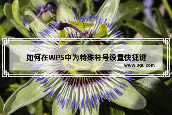 如何在WPS中为特殊符号设置快捷键