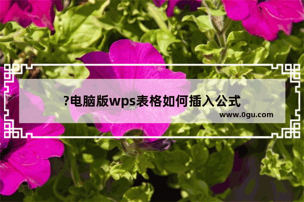 ?电脑版wps表格如何插入公式