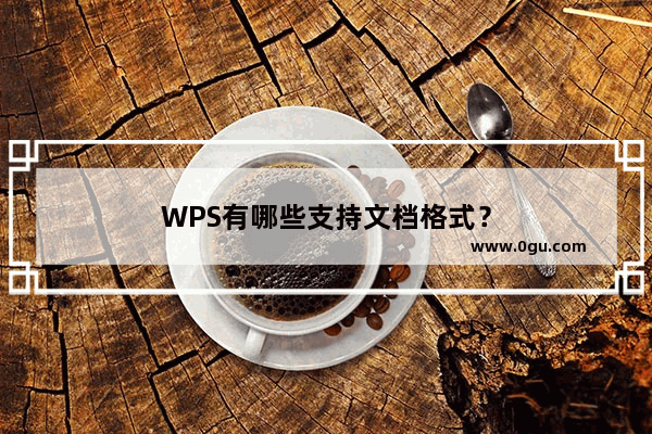 WPS有哪些支持文档格式？