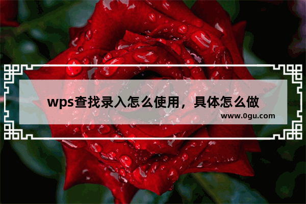 wps查找录入怎么使用，具体怎么做