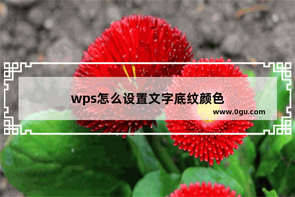 wps怎么设置文字底纹颜色