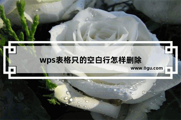 wps表格只的空白行怎样删除