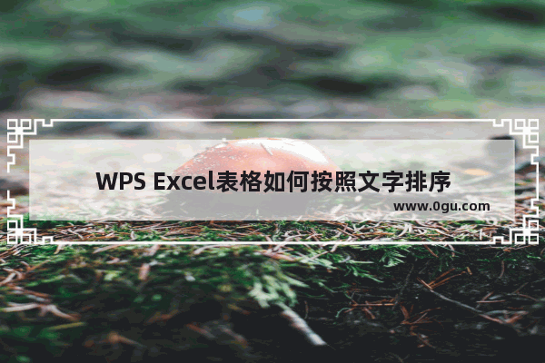 WPS Excel表格如何按照文字排序