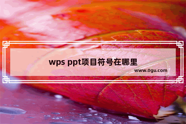 wps ppt项目符号在哪里