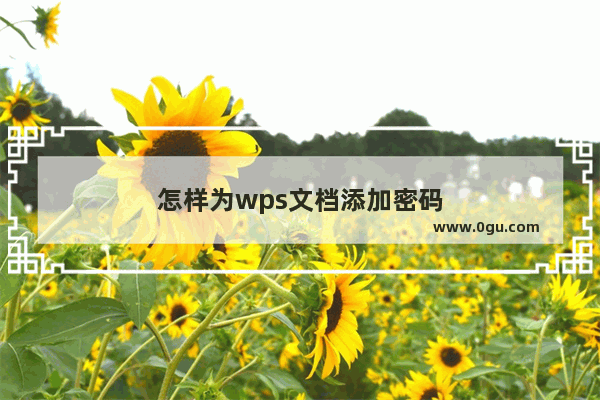 怎样为wps文档添加密码