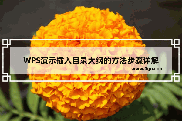 WPS演示插入目录大纲的方法步骤详解