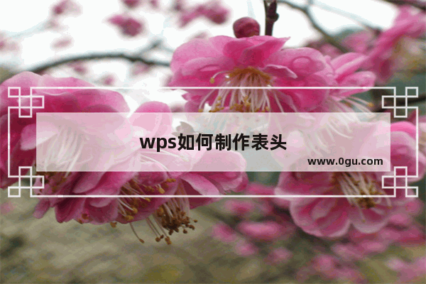 wps如何制作表头