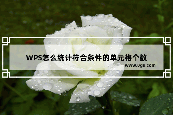 WPS怎么统计符合条件的单元格个数