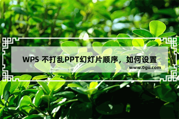 WPS 不打乱PPT幻灯片顺序，如何设置幻灯片播放顺序呢？