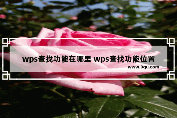 wps查找功能在哪里 wps查找功能位置介绍