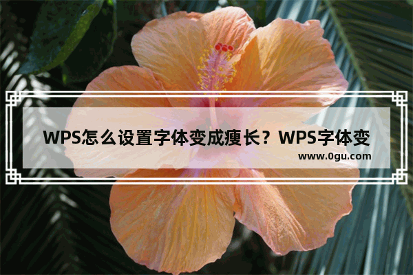 WPS怎么设置字体变成瘦长？WPS字体变成瘦长设置方法