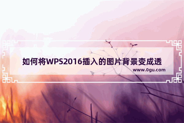 如何将WPS2016插入的图片背景变成透明色