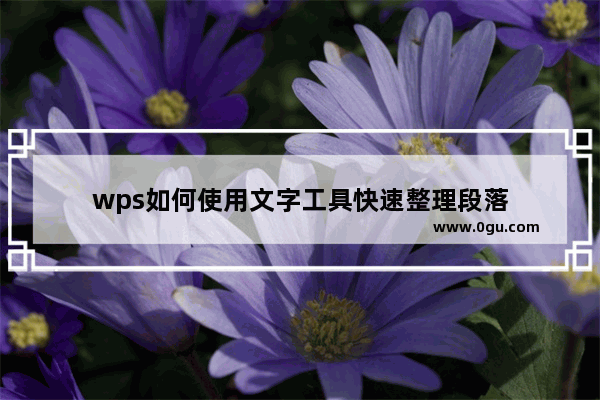 wps如何使用文字工具快速整理段落