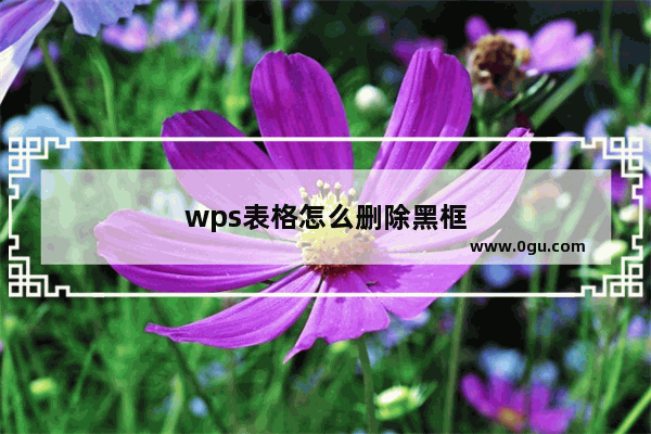 wps表格怎么删除黑框