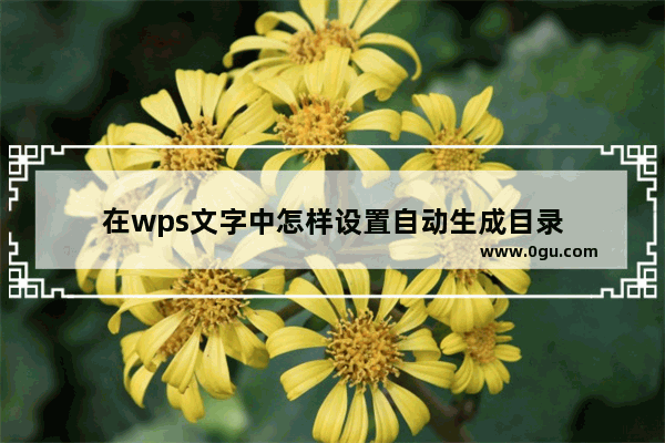 在wps文字中怎样设置自动生成目录