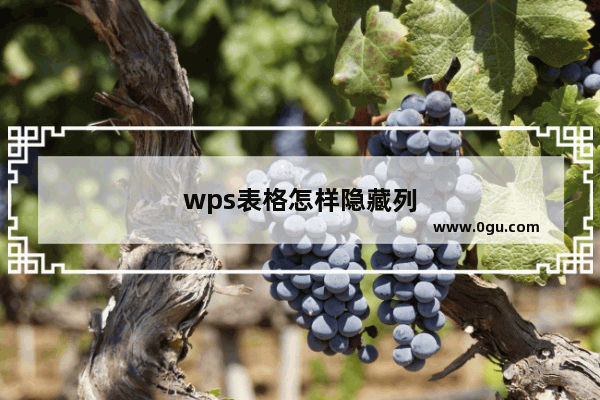 wps表格怎样隐藏列