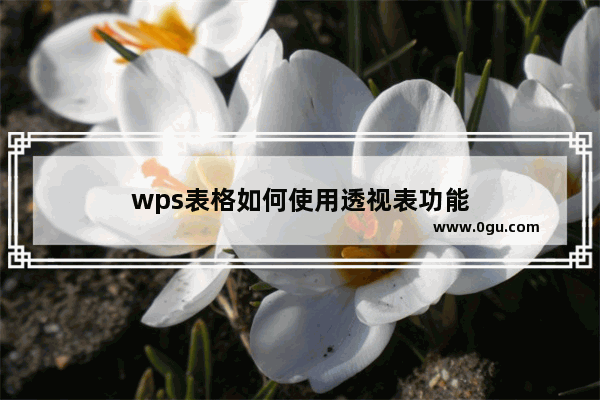 wps表格如何使用透视表功能