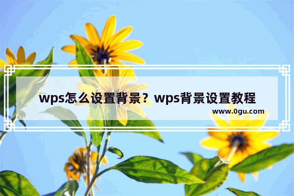 wps怎么设置背景？wps背景设置教程