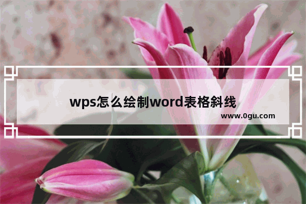 wps怎么绘制word表格斜线