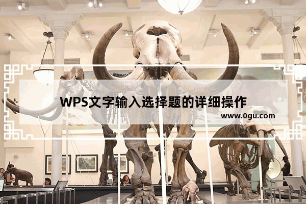 WPS文字输入选择题的详细操作