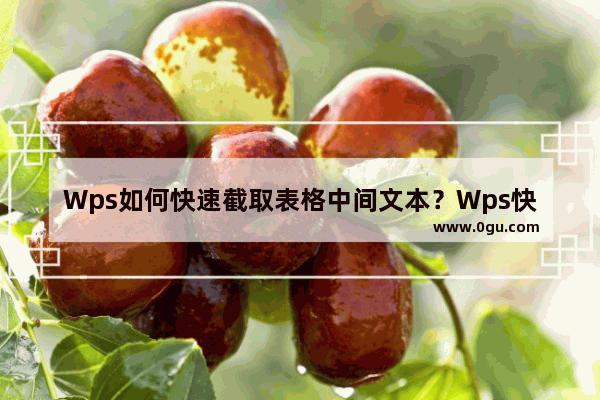 Wps如何快速截取表格中间文本？Wps快速截取表格中间文本的方法