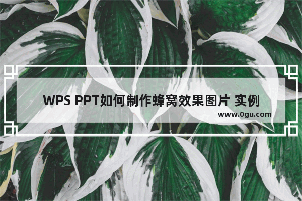 WPS PPT如何制作蜂窝效果图片 实例教程