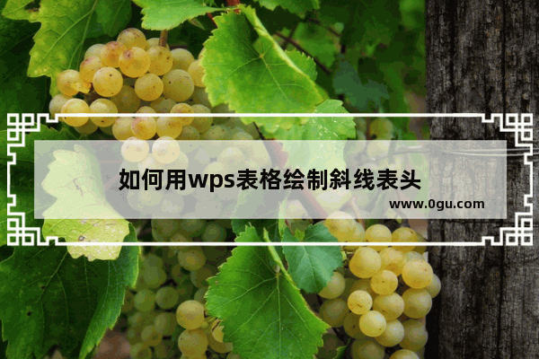 如何用wps表格绘制斜线表头