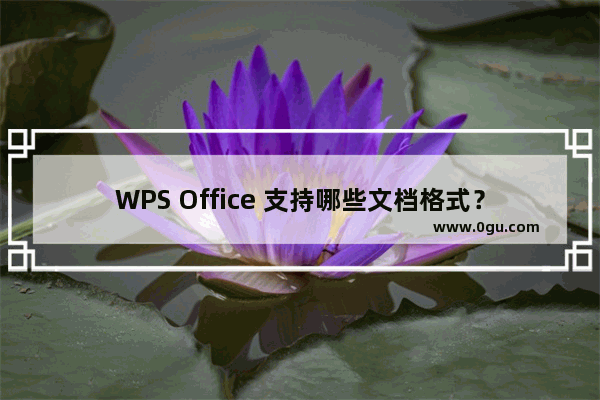 WPS Office 支持哪些文档格式？