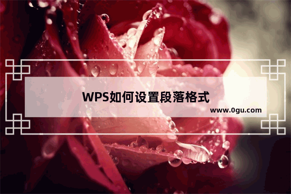 WPS如何设置段落格式