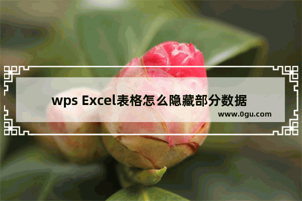 wps Excel表格怎么隐藏部分数据 WPS excel表格隐藏部分内容的方法