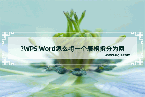 ?WPS Word怎么将一个表格拆分为两个表格 WPS文档中拆分表格的方法教程