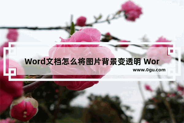 Word文档怎么将图片背景变透明 Word文档将图片背景变透明的方法