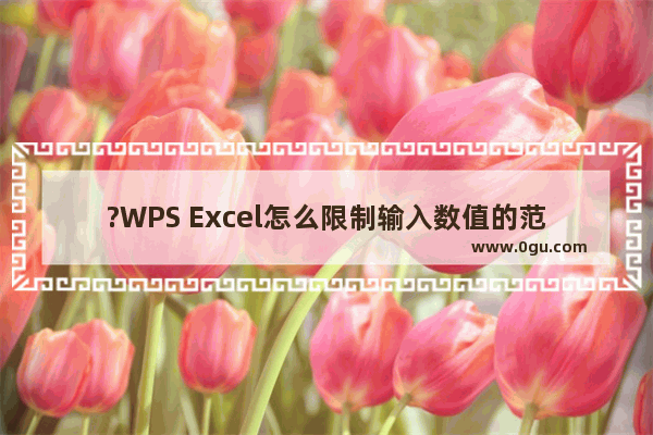 ?WPS Excel怎么限制输入数值的范围 WPS表格中控制数值范围的方法教程