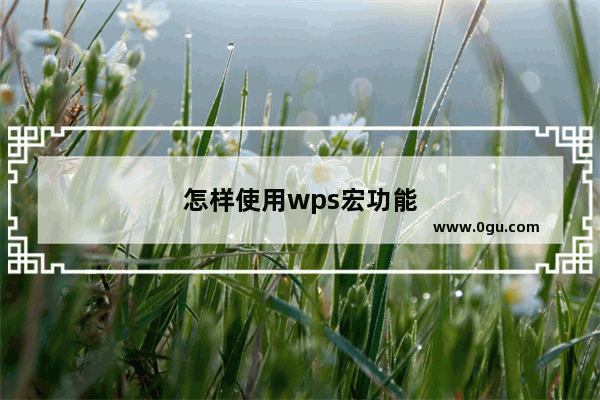 怎样使用wps宏功能