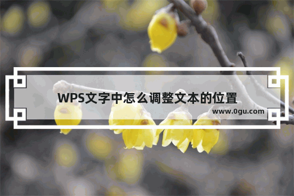 WPS文字中怎么调整文本的位置