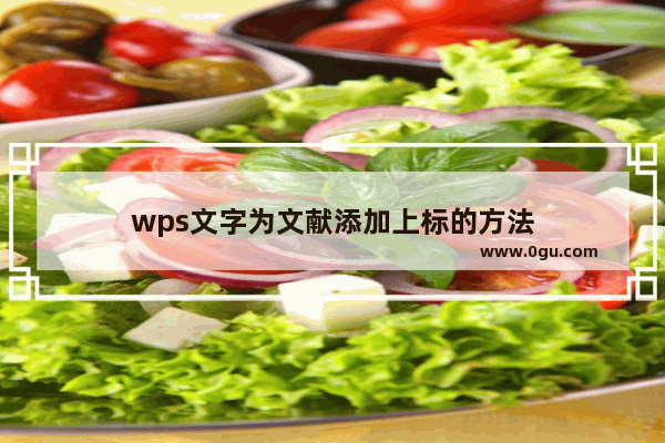 wps文字为文献添加上标的方法