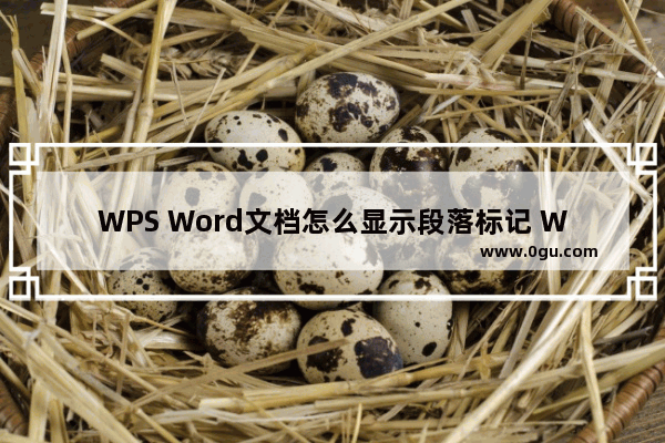 WPS Word文档怎么显示段落标记 WPS Word文档显示段落标记的方法