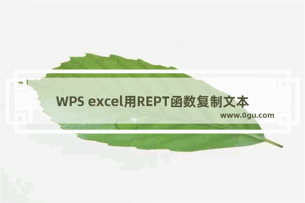 WPS excel用REPT函数复制文本