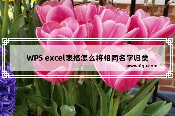 WPS excel表格怎么将相同名字归类到一起 WPS excel把相同名字排在一起的方法