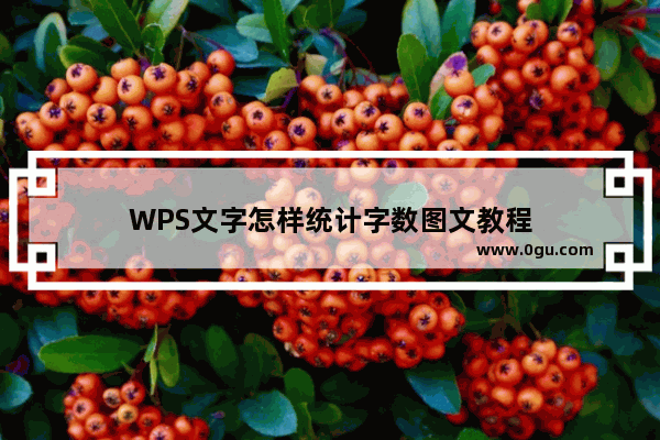 WPS文字怎样统计字数图文教程