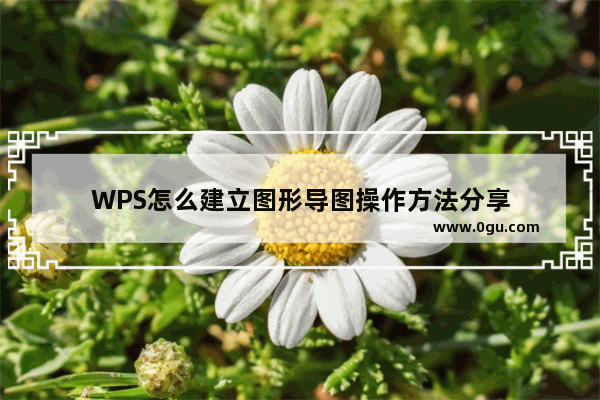 WPS怎么建立图形导图操作方法分享