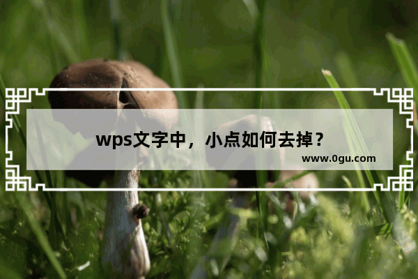 wps文字中，小点如何去掉？