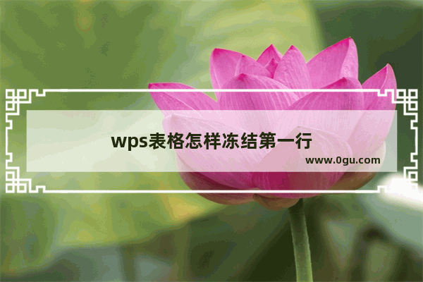 wps表格怎样冻结第一行