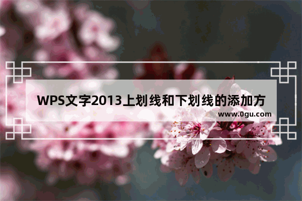 WPS文字2013上划线和下划线的添加方法