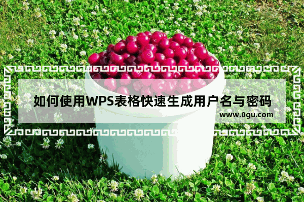 如何使用WPS表格快速生成用户名与密码