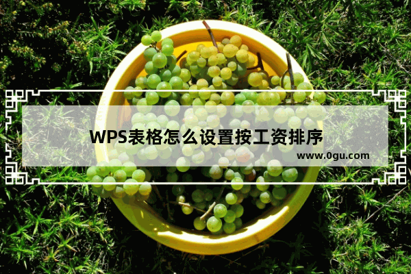 WPS表格怎么设置按工资排序