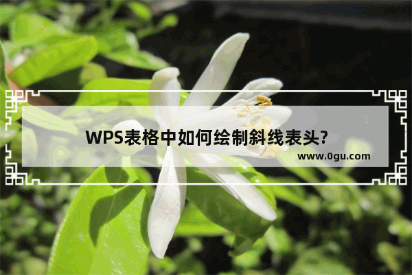 WPS表格中如何绘制斜线表头?