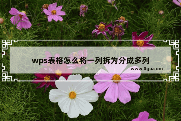 wps表格怎么将一列拆为分成多列