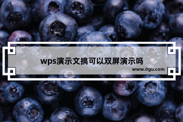 wps演示文搞可以双屏演示吗