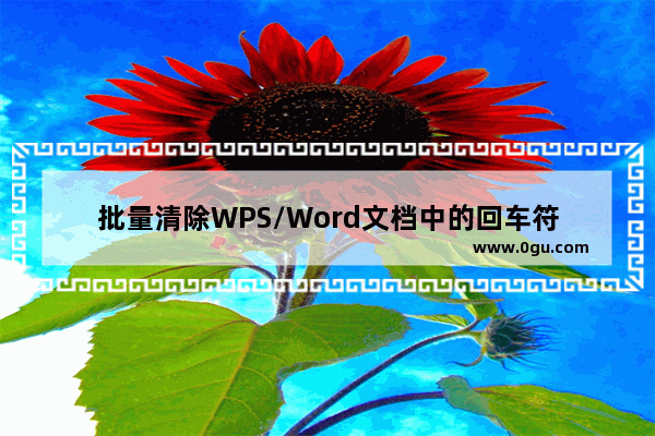 批量清除WPS/Word文档中的回车符